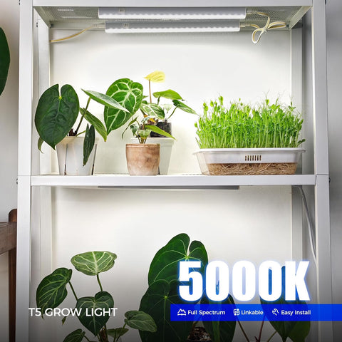 T5 grow light illuminating plants on a white shelf with text indicating 5000K full spectrum.