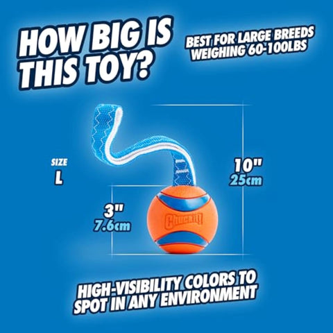 Large Dog Tug and Fetch Rubber Ball Toy Orange