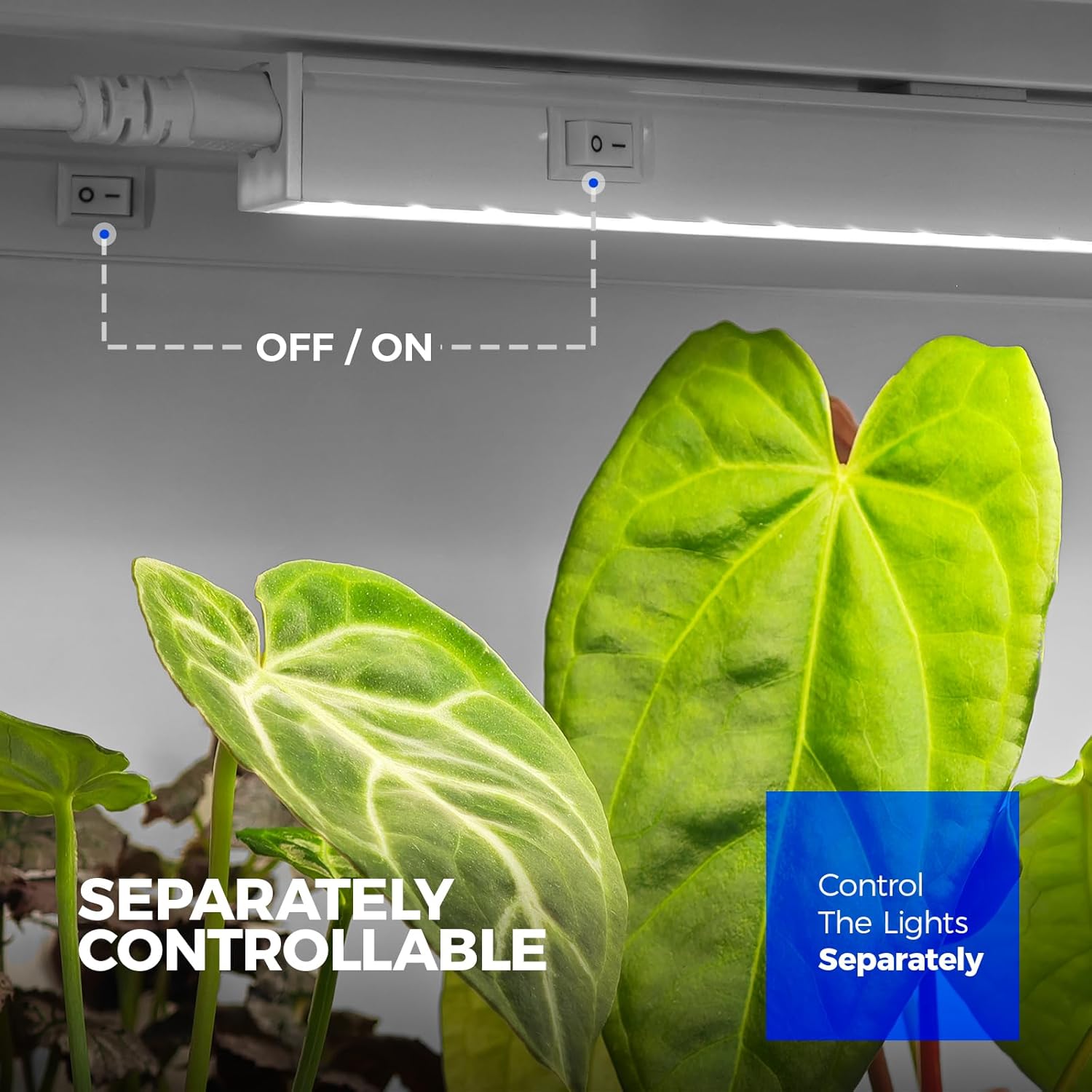 Control panel for LED strip lights with a plant in the foreground