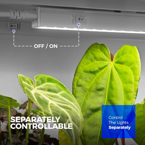 Control panel for LED strip lights with a plant in the foreground