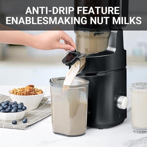 Automatic Cold Press Juicer 250W 145MM Wide Chute 2L Slow Extractor