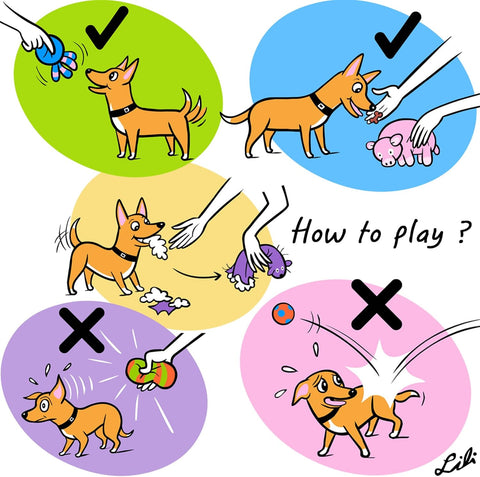 Squeaky Latex Dog Toys Pack for Interactive Play
