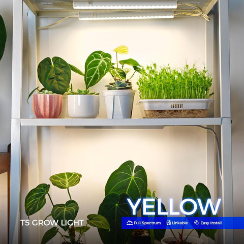 Indoor plants under a T5 grow light on a metal shelf.