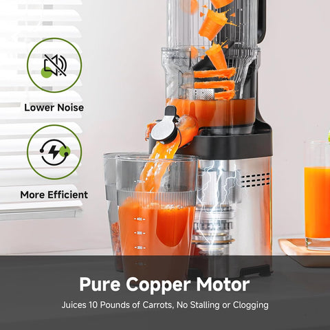 Cold Press Juicer Machine 118mm Chute Stainless Steel Slow Juicer