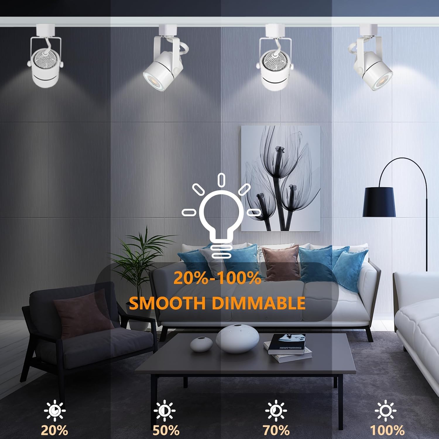 Living room with ceiling lights and text indicating smooth dimmable feature