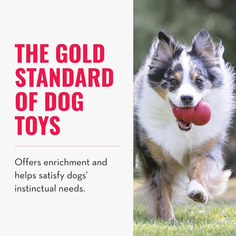 KONG Classic Stuffable Dog Toy - Durable Red Rubber Chew Toy