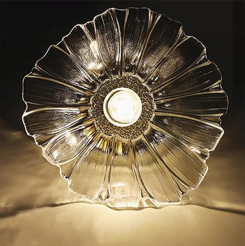 Modern Flush Mount Ceiling Light Fixture - E27 Clear Glass Shade 240V