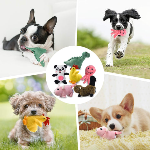 Squeaky Plush Dog Toy 6 Pack for Puppies and Small Dogs