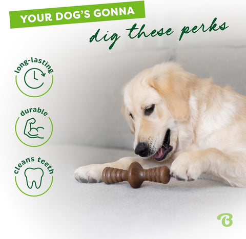 Benebone Zaggler Indestructible Rolling Dog Chew Toy for Aggressive Chewers, Long Lasting Tough Boredom Breaker for Dogs, Real Bacon Flavour, For Medium Dogs