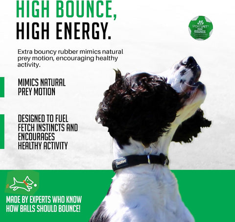 Small Dog Rubber Bounce Balls 4 Pack for Fetch and Play Green and White