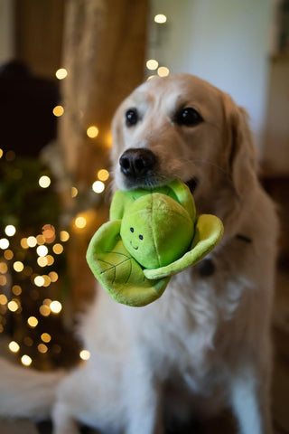 Christmas Brussel Sprout Plush Dog Toy