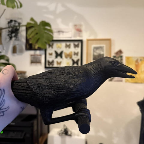 Black Birds Resin Crow Desk LED Lamp E27 Base Modern Raven Art Deco Bedside Decor Plug in Cord Wall Lamps for Bedroom, Office, College Dorm, Right Black Wall