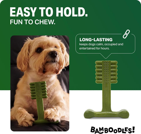 Bamboodles T-Bone Dog Chew Toy – Small | Mint & Lamb Flavour