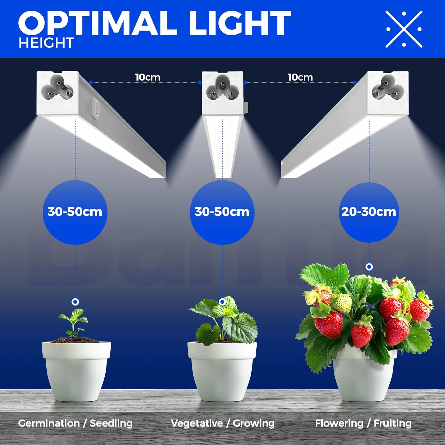 Diagram showing optimal light heights for plants with labeled stages of growth.