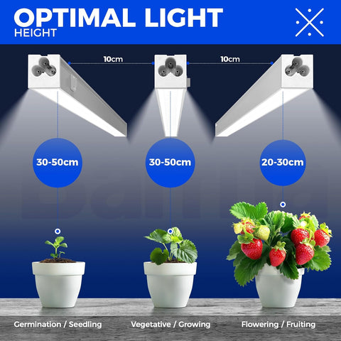 Diagram showing optimal light heights for plants with labeled stages of growth.