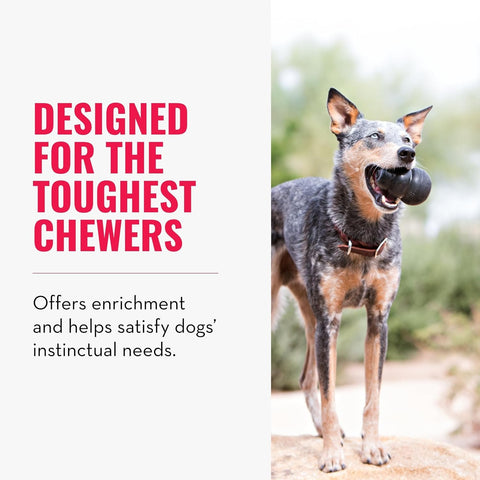 KONG Extreme Dog Toy - Durable Chew & Treat-Filling Large Dog Toy (2-Pack)