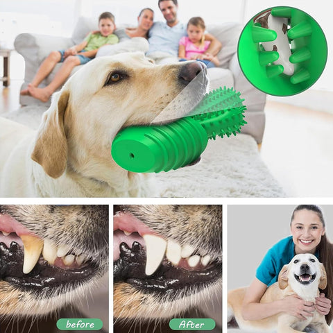 HETOO Dog Chew Toy Cactus for Aggressive Chewers