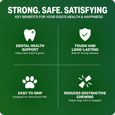 Bamboodles T-Bone Dog Chew Toy – Small | Chicken Flavour