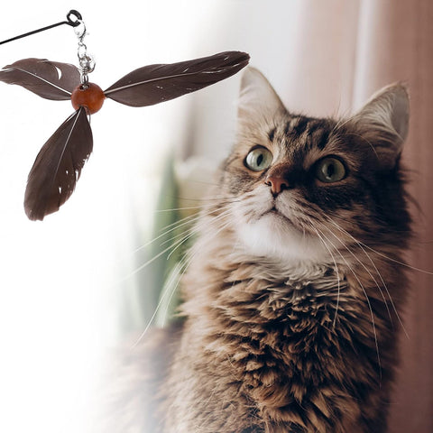 Interactive Cat Feather Wand Toy with Bell and Refills Gray+Black