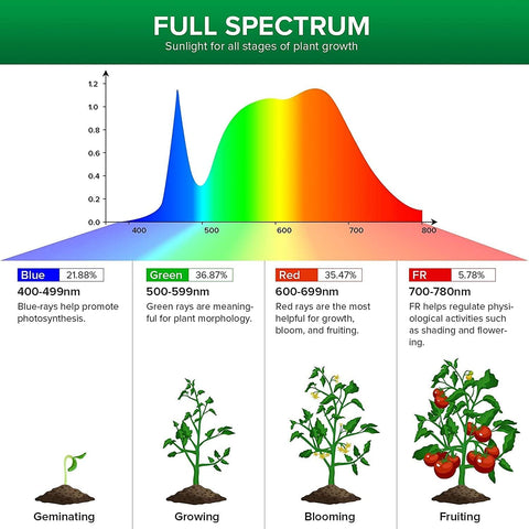 Diagram of plant growth stages with corresponding sunlight spectrum and color percentages.