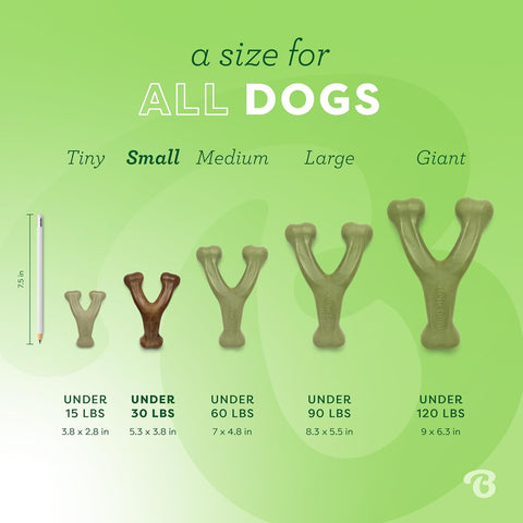 Benebone Wishbone Chew Toy Small Bacon Pack of 2