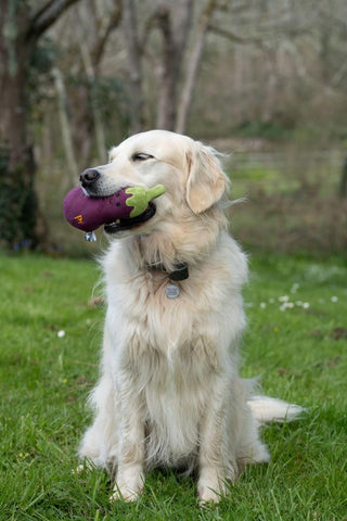 Aubergine Plush Dog Toy with Squeaker