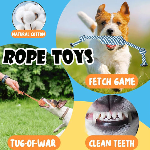 Speedy Panther 10 Pack Luxury Puppy Teething Toys Set