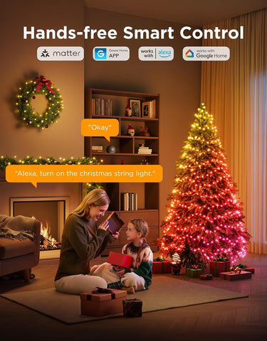 Govee 20M RGBWIC Christmas String Lights with Music Sync, Multicolor