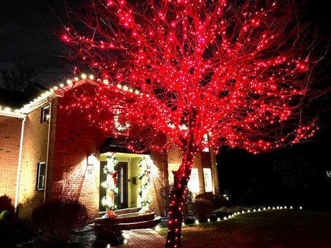 Red LED String Lights 10M with 100 LEDs, Battery Operated Waterproof Copper Wire Fairy Lights for Indoor and Outdoor Decoration