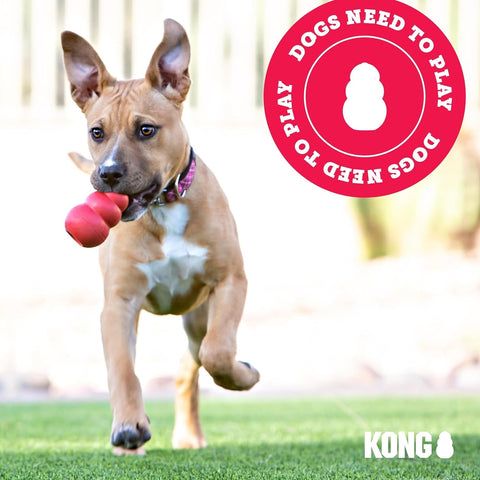 KONG Extreme Dog Toy - Durable Chew & Treat-Filling Large Dog Toy (2-Pack)
