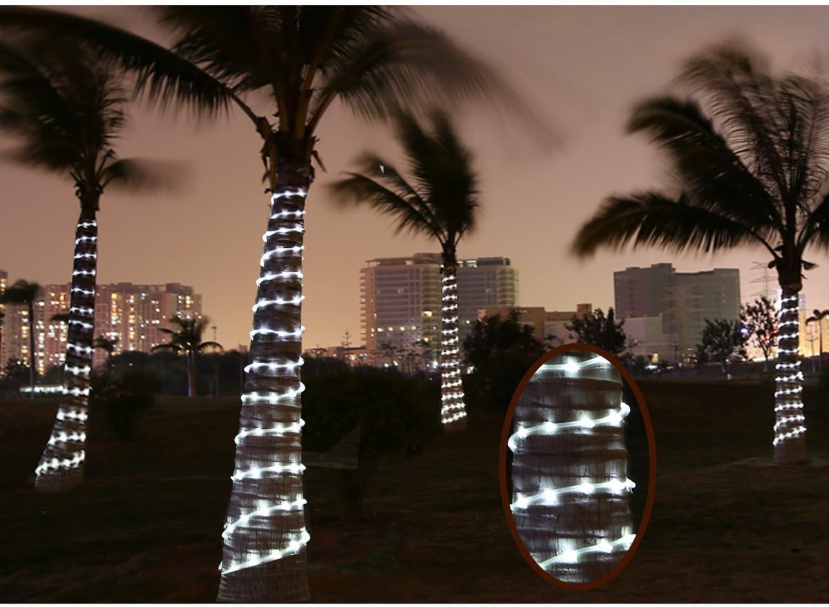 Decorative lights on palm trees with city skyline in the background