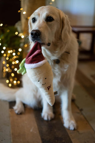 Plush Christmas Dog Toy with Squeaker