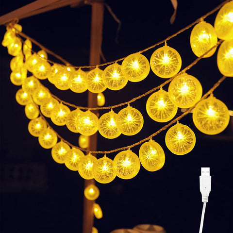 Lemon Fairy Lights, 3m 20 LED Fruits Lemon String Lights, USB Powered, Outdoor Indoor String Fairy Light for Bedroom, Party, Wedding, Garden, Camping, Christmas Decoration