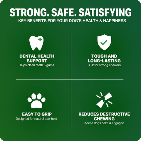 Bamboodles T-Bone Dog Chew Toy – Small | Mint & Lamb Flavour