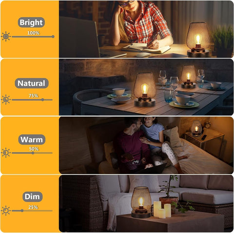 2 Pack Rechargeable Cordless Table Lamp Battery Operated Metal Bronze