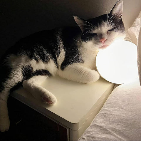 Hifree Smart Table Lamp – Dimmable RGB LED Bedside & Desk Lamp with Touch, Wi-Fi, Bluetooth, Alexa & Google Assistant Control
