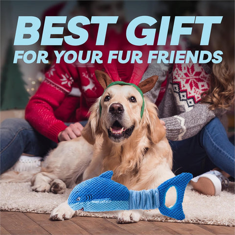 LEGEND SANDY Blue Shark Dog Toy