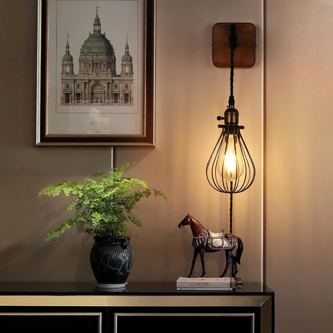 Industrial Plug In Cage Wall Lamp Pulley Sconce