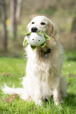 Petface Cauliflower Plush Dog Toy with Squeaker