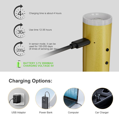 Gold Motion Sensor Rechargeable Wall Lights Set of 2