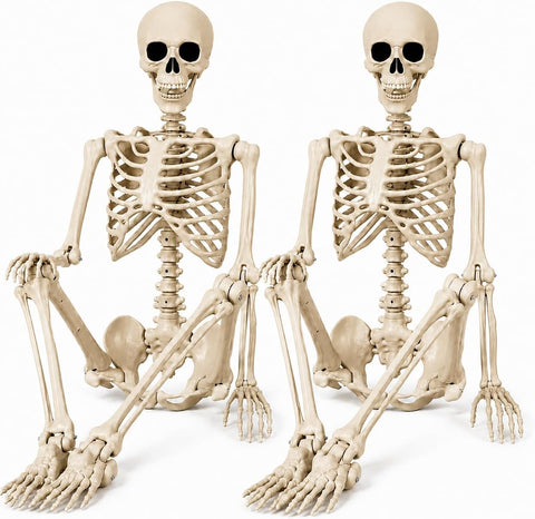 3ft Halloween Skeleton 2 Pack – Posable Plastic Skeleton Decorations for Indoor & Outdoor Halloween Parties, Haunted Houses, Gardens & Spooky Displays
