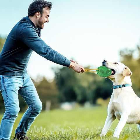 Indestructible Squeaky Dog Chew Toy for Aggressive Chewers