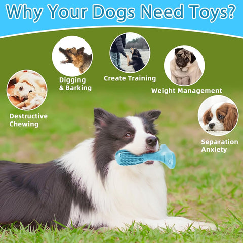 Dog Toothbrush Chew Toy Natural Rubber Dental Stick