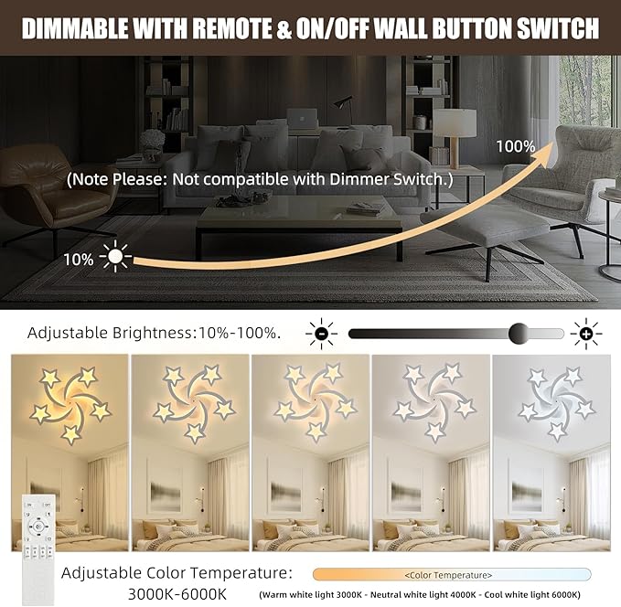 Living room with dimmable light fixture and control options, including remote and wall switch.