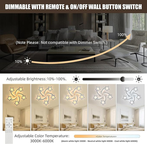 Living room with dimmable light fixture and control options, including remote and wall switch.