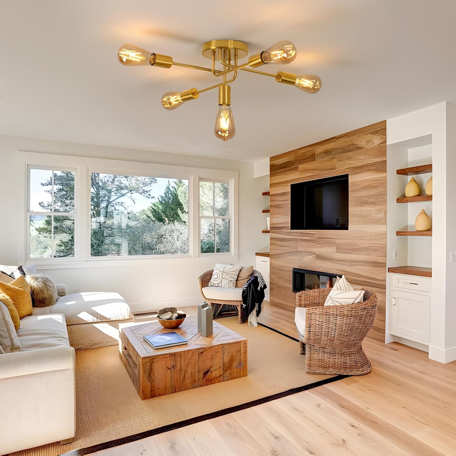 Modern living room with a ceiling light fixture, TV, and decorative items.