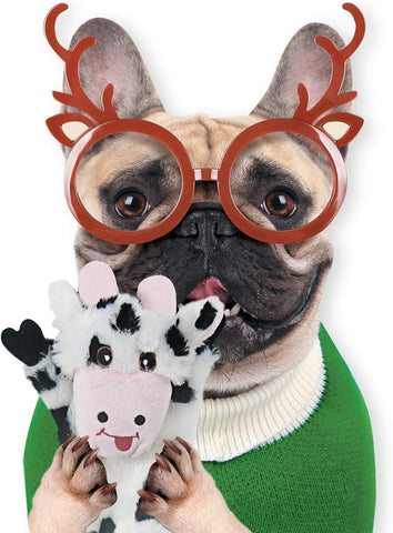 SHARLOVY Dog Squeaky Toys 5 Pack Plush Chew Toys for Large and Medium Dogs