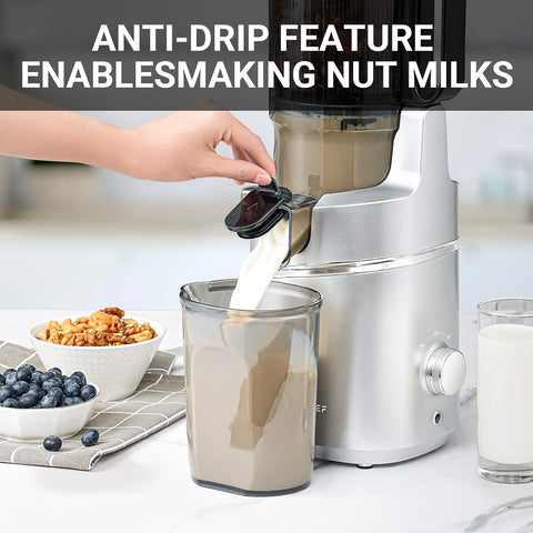 Automatic Cold Press Juicer Machine 250W 2L Large Opening Galaxy Silver