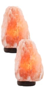 3 Pack Salt Lamp Bulb | Oven Bulb | Fridge Bulb