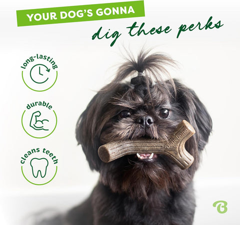 Benebone Bacon Stick Dog Chew Toy Small